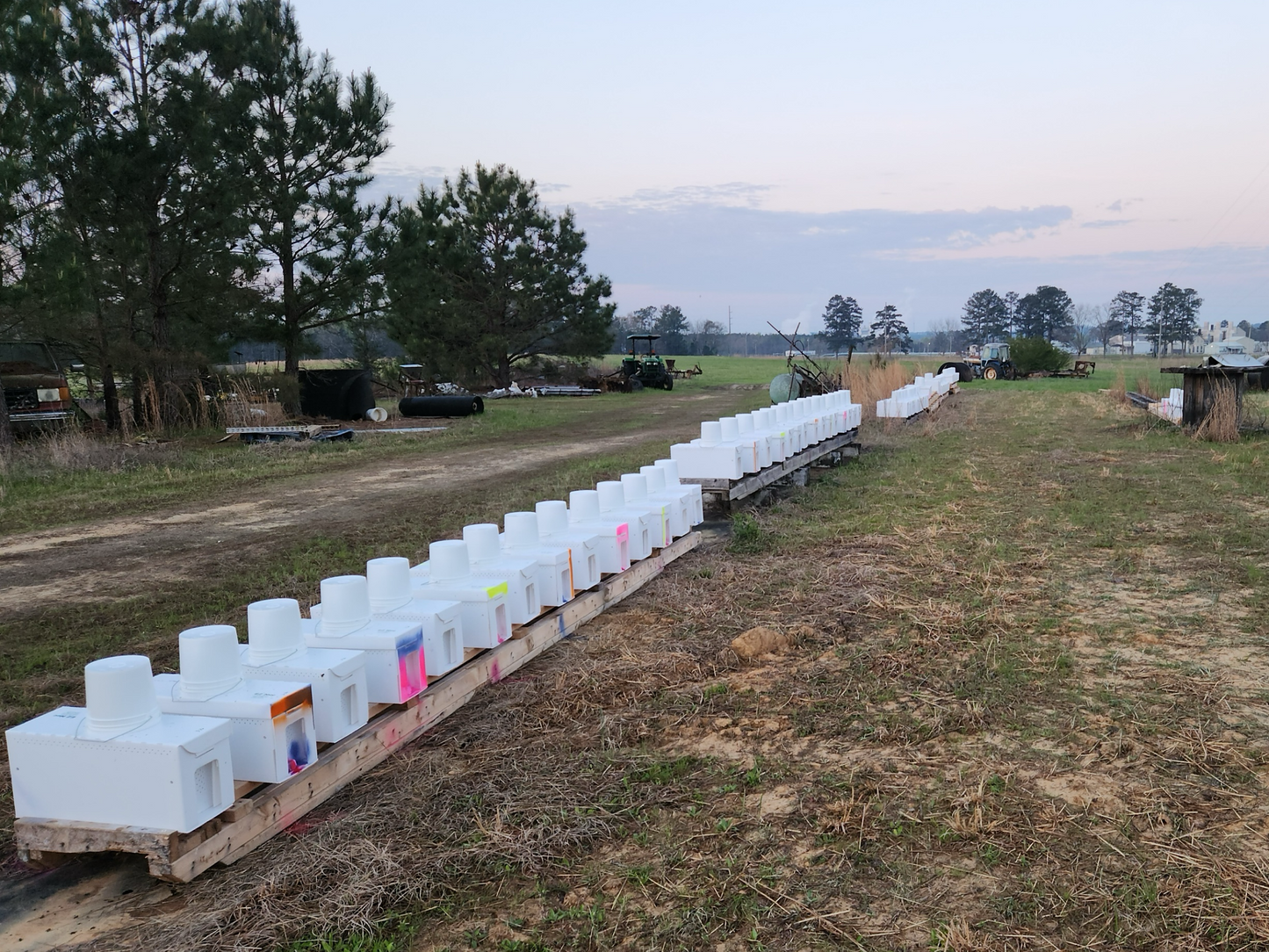 Reserve Your Spring 2024 Hygienic Nucs - Chilton bee company