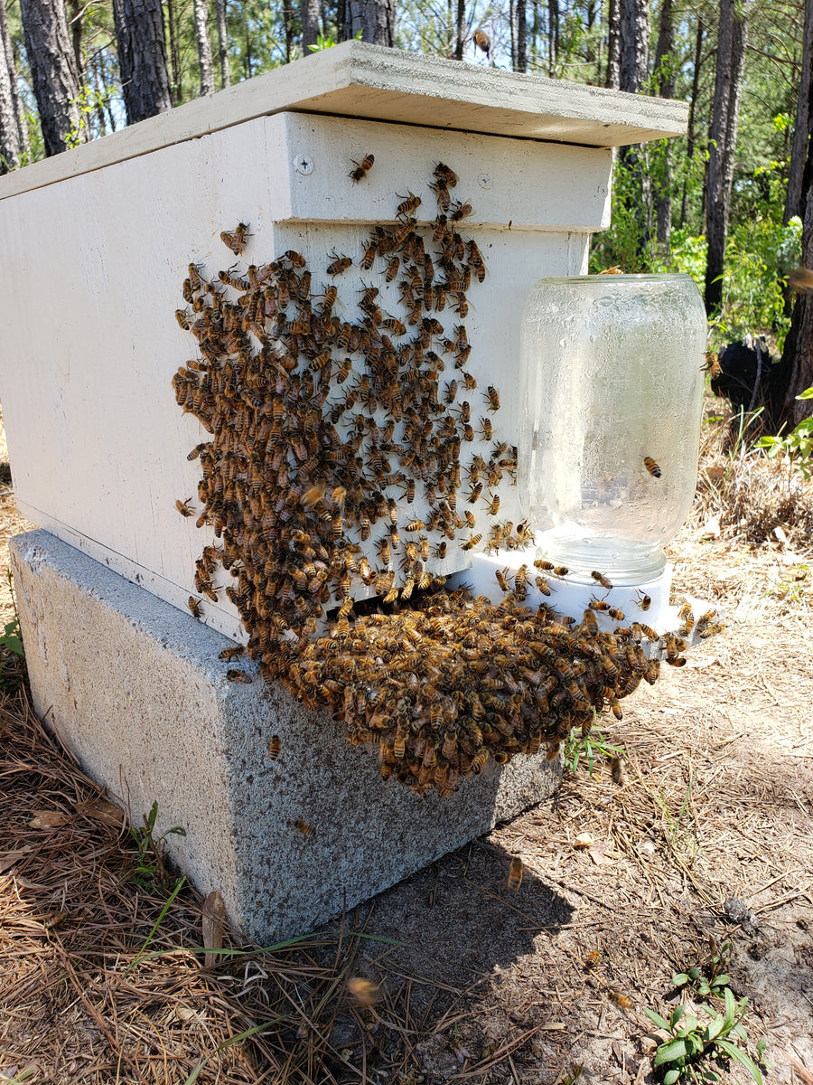Nucs