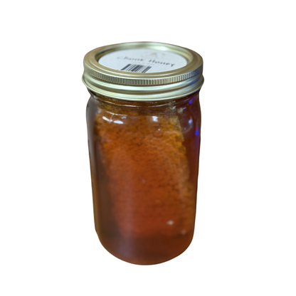 Raw Alabama wildflower chunk honey in glass jar with large honeycomb piece inside, gold lid, white background