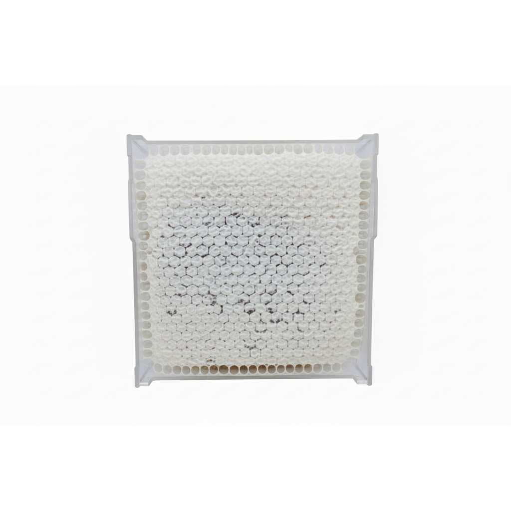 Edible honeycomb comb honey product with pure white wax cells in food-safe container