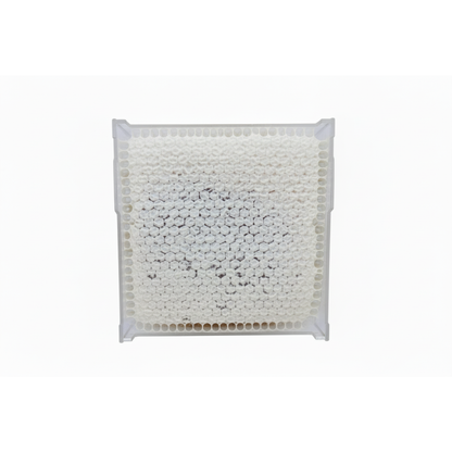 Edible honeycomb comb honey product with pure white wax cells in food-safe container